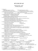 De cuong on tap HKI môn HOÁ 11