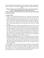 18073hoàn thiện  hạch toán tiêu thụ và kết quả tiêu thụ hàng hoá tại Công ty cổ phần giải pháp mạng và phân phối máy tính