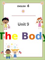 English 6- Unit 9- Grammar: Adjective