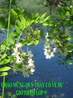 QUY DONG MAU NHIEU PHAN THUC