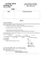 Bài kiểm tra 45'''' Hình 8_2010