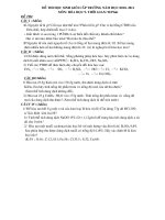 ĐỀ THI HSG KHỐI 9 NĂM HỌC: 2010-2011