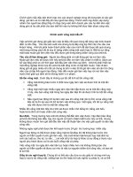 Mẫu quy chế vắng mặt