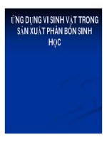 ứng dụng vi sinh vật trong sản xuất phân bón