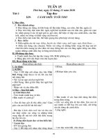 GA Lop 4 - Tuan 15 (Hay)