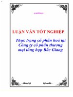 Luận văn tốt nghiệp “Thực trạng cổ phần hoá tại Công ty cổ phần thương mại tổng hợp Bắc Giang”