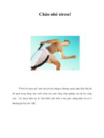 Chào nhé stress!