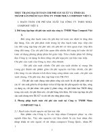 THỰC TRẠNG HẠCH TOÁN CHI PHÍ SẢN XUẤT VÀ TÍNH GIÁ THÀNH SẢN PHẨM TẠI CÔNG TY TNHH NHỰA COMPOSIT VIỆT Á