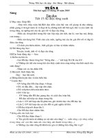 Giáo án 5 - Tuần 8