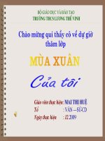 mua xuan cua toi