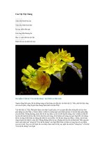 CÁO TẬT THỊ CHÚNG