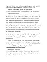 Thực trạng kế toán thành phẩm tiêu thụ thành phẩm và xác định kết quả tiêu thụ thành phẩm tại tổng công ty rau quả việt nam