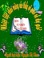 bai 29: một số loài vật sống dưới nước