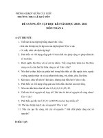 Đề cương ôn tập học kỳ 1 Toán lớp 6