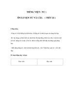 Tiếng việt - ÔN LUYỆN TỪ VÀ CÂU ( TIẾT 22 )