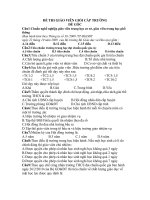 ĐỀ THI GIÁO VIÊN GIỎI THCS NĂM HỌC 2010-2011