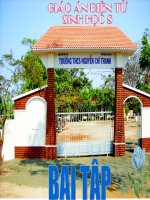 tiết bài tập 31