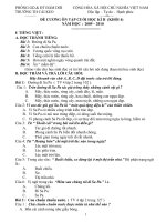 Đề cương cuối kì II lớp 4