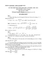 đề thi HSG huyện Điện Bàn 10-11