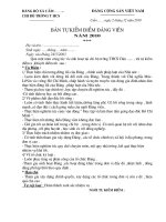 BTKĐ ĐẢNG VIÊN 2010