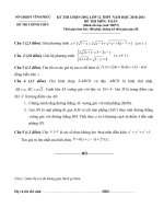 Đề thi HSG 12 VPhúc