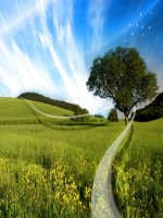 Ôn tập chưong 1- CB