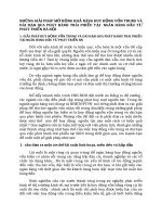 NHỮNG GIẢI PHÁP MỞ RỘNG KHẢ NĂNG HUY ĐỘNG VỐN TRUNG VÀ DÀI HẠN QUA PHÁT HÀNH TRÁI PHIẾU TẠI  NGÂN HÀNG ĐẦU TƯ  PHÁT TRIỂN HÀ NỘI