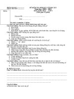 Đề KT CUOI HKI Khoa học Lớp 5 2010-2011 Có HDC