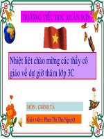 Chính tả ( tiết 29 )