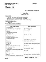 giao an l1 tuan 16 cktkn+gdkns