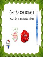 ÔN TẬP CHƯƠNG III cn6.ppt