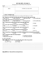 de kiem tra tin 8 (in ngay)