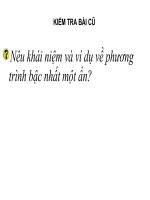 Tiet 23: Phuong trinh va he phuong trinh nhieu an