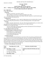 GIAO AN SU 10 CHUAN NGOC BUI