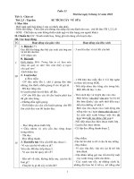 GA lóp 2 Tuần 12 có luyện, KNS, CKTKN