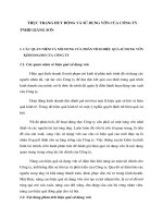 THỰC TRẠNG HUY ĐỘNG VÀ SỬ DỤNG VỐN CỦA CÔNG TY TNHH GIANG SƠN