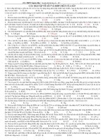 bài tập về sắt