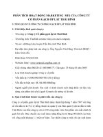 PHÂN TÍCH HOẠT ĐỘNG MARKETING  MIX CỦA CÔNG TY CỔ PHẦN GẠCH ỐP LÁT THÁI BÌNH