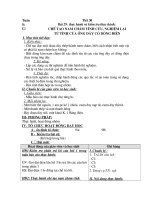 (TIẾT 30- TIẾT 40)Giáo án soạn theo chuẩn KT kĩ năng 2010