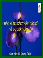 Trung diem doan thang