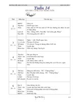 GA LỚP 5 GDBVMT CKTKN TUẦN 14