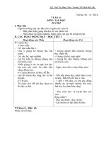 giáo án buổi chiều lớp2tuần 11 đến tuần 15