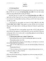 SKKN: Chuyên đề cực trị