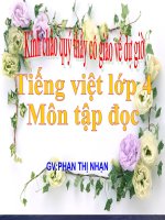 Tập đọc: ÔNG TRANG THẢ DIỀU