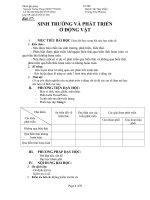 bài 37 st và pt ở động vật (dạy học tích cực)