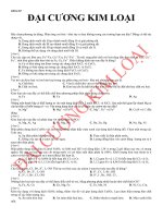 ĐẠI CƯƠNG KIM LOẠI (HAY)