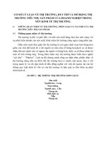 CƠ SỞ LÝ LUẬN VỀ THỊ TRƯỜNG