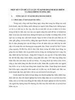 MỘT SỐ VẤN ĐỀ LÝ LUẬN VỀ KINH DOANH BẢO HIỂM VÀ BẢO HIỂM TƯƠNG HỖ