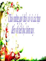 bài: Lặp Với Số lấn Lặp Chưa biết