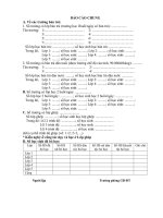 Mẫu BC chung cuối kỳ I 2010-2011